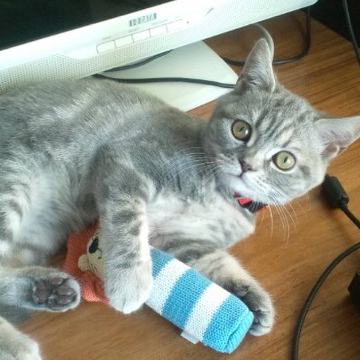 5b1a31a0 3737 4314 b9d3 a516726a384d