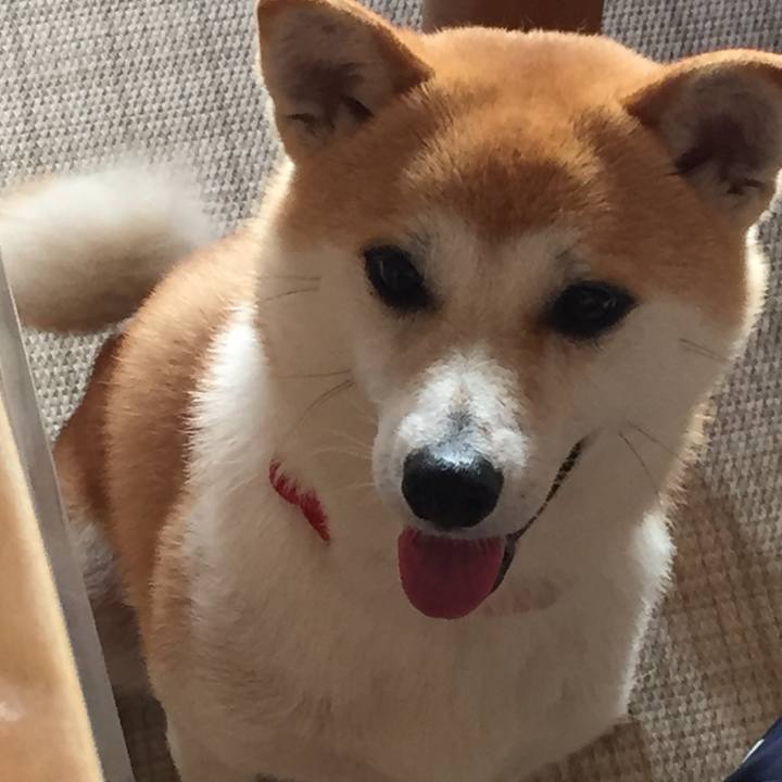 5b1a9a56 32a4 441e b513 291d2fa78a10