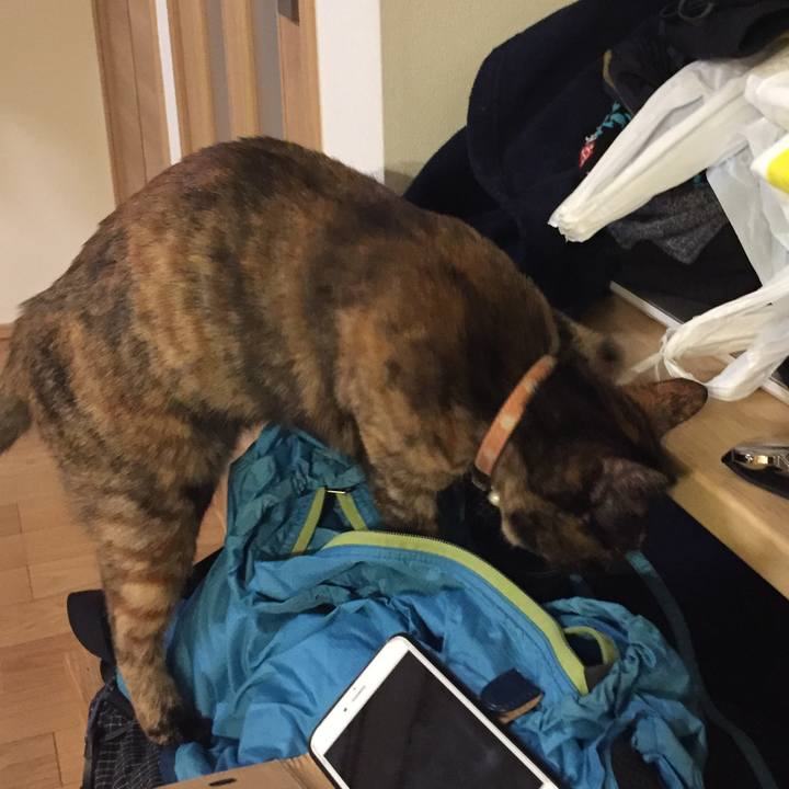 5b1ae378 0bd7 4a23 95b5 3cab2a17b596