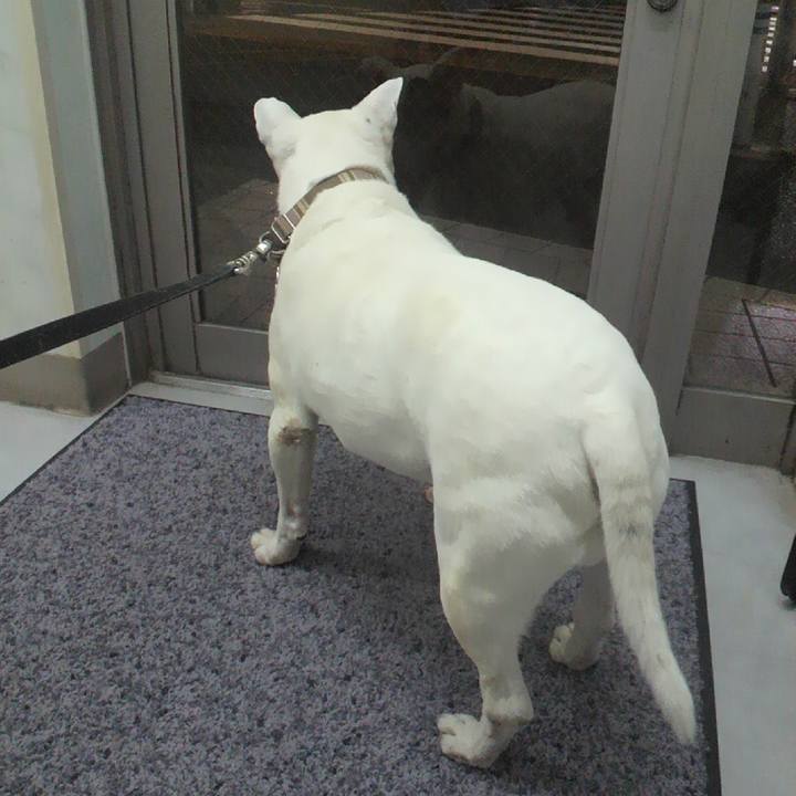 5b1b3aa1 4d87 4002 8bb4 c55974abb8e3