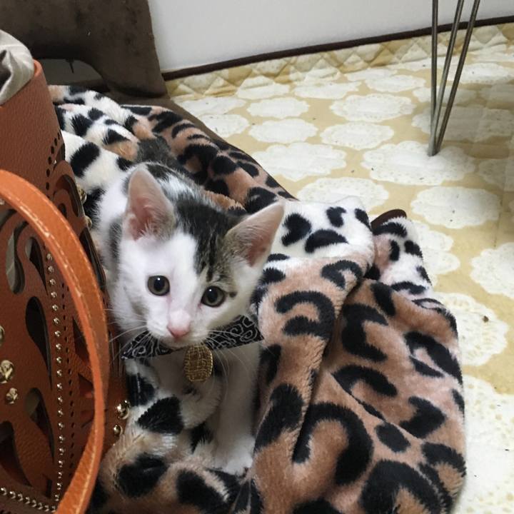 5b1b5aa5 20a8 41dd 9b5f a29489993556