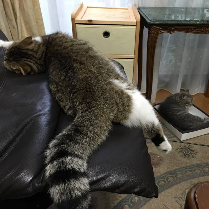 5b1b836f 3d35 4d6f a59b c88b8f1ec76c