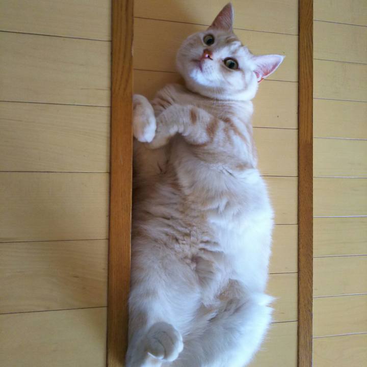 5b1bc797 5949 4a68 af34 4c6e3471de5c