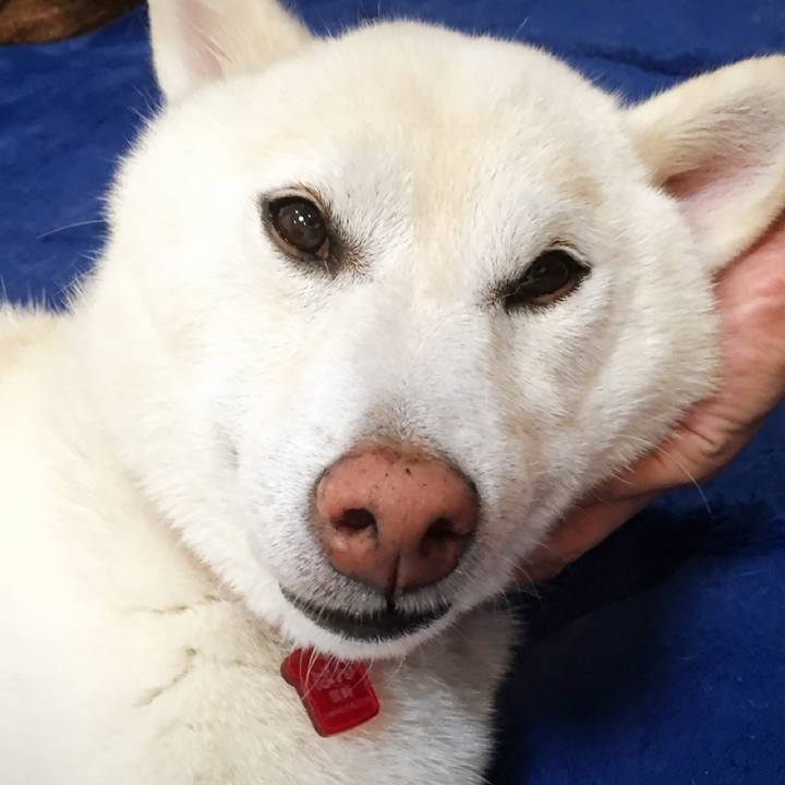 5b1bd424 5c44 4d3c 8aa2 eebed7c8818c