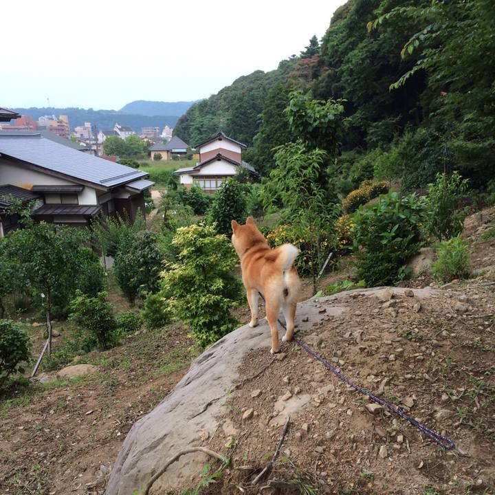 5b1bf119 96cc 4ed1 9abc b686b947d7ac