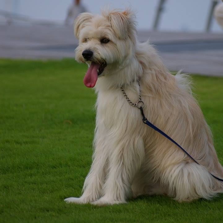 5b1bfb23 c264 4f81 b777 ea127287c207