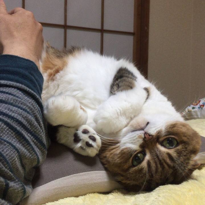 5b1c9533 af99 4f96 aaac c106aee92306