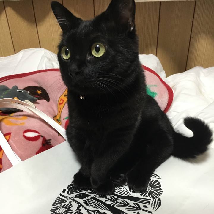 5b1cb16a cc08 4410 a1e7 237763fd9d96