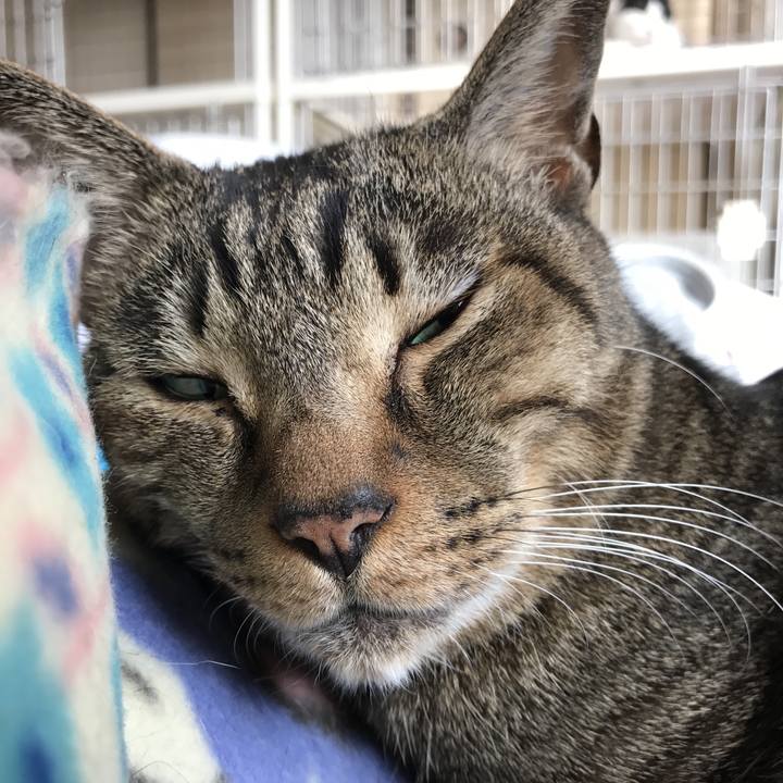 5b1cb92e 893a 41dd af32 23b386fbdab6