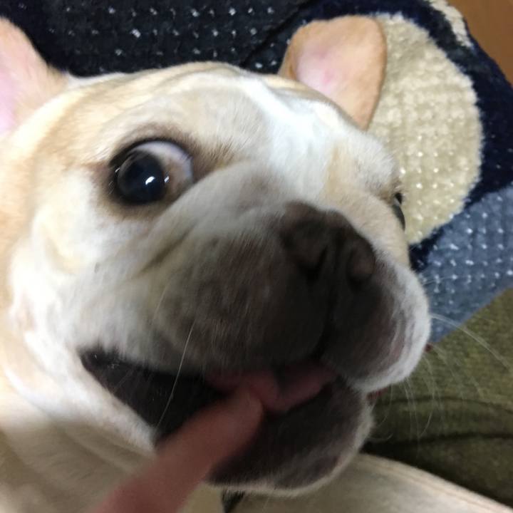 5b1db947 8707 4d6b 8eca 2c72a80dda79