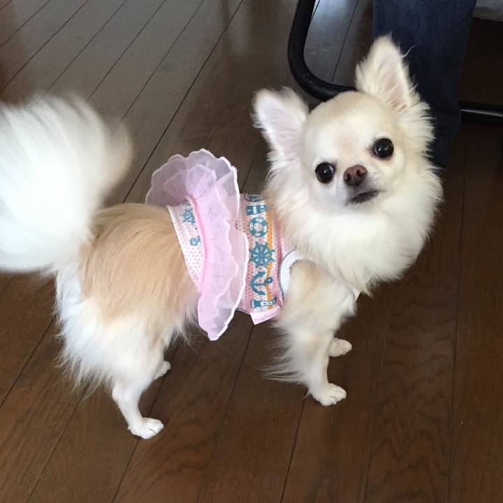 5b1e9011 37d7 455e 88eb 0caabc6be2ac