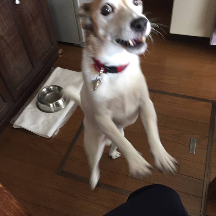 5b1ee097 daf4 4a58 a788 731596a90561