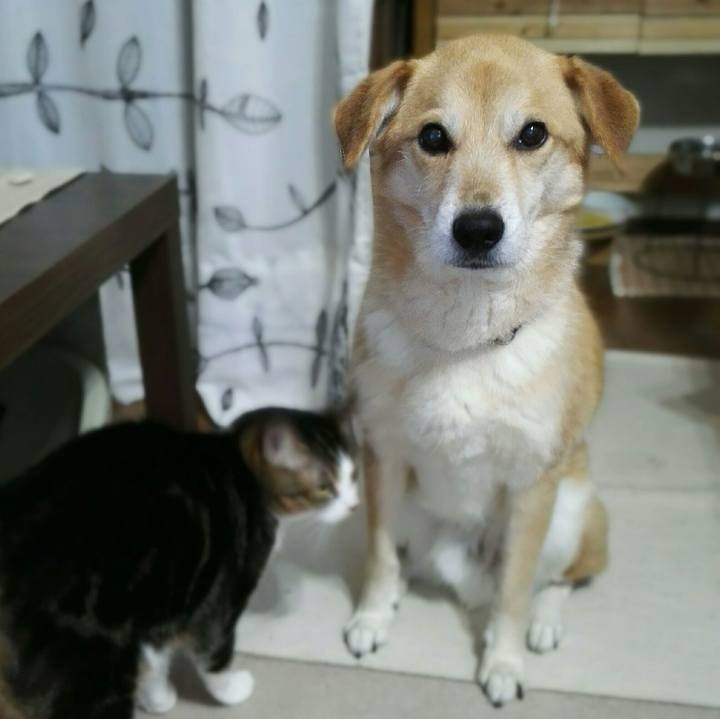 5b1ee33f a9b8 4694 8d99 d06c6cbe0aeb