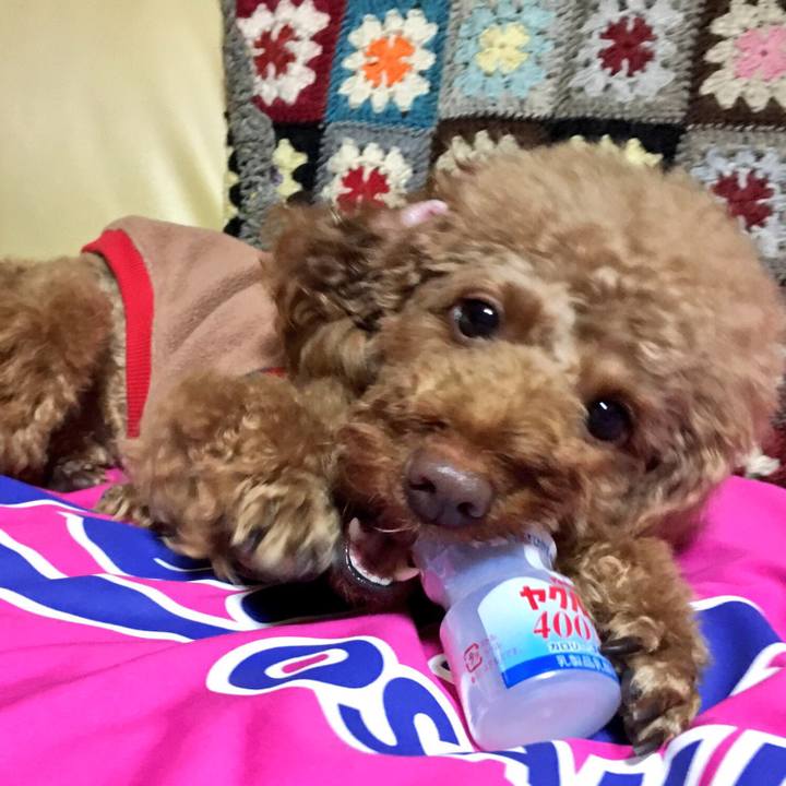 5b1ee475 15ef 4fa7 91f5 1a526840aa7e