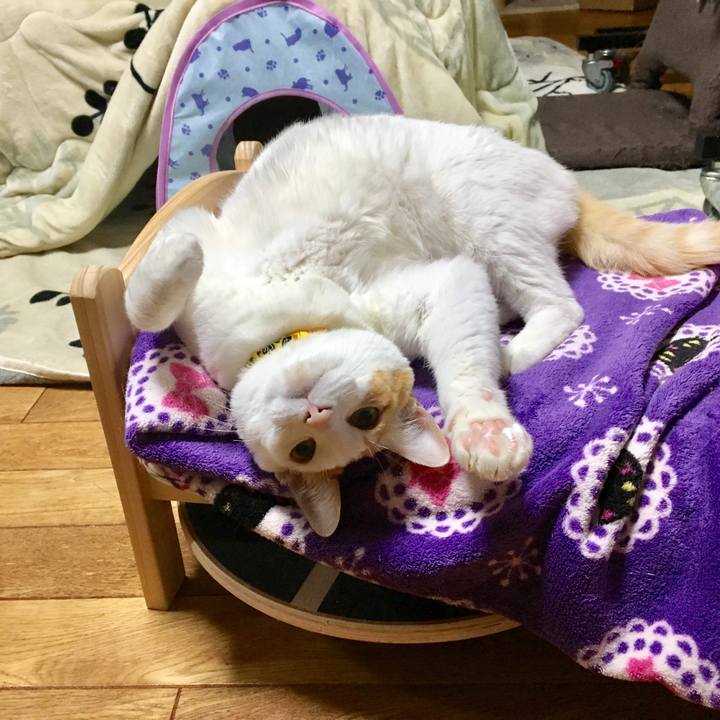 5b1ef5b9 e223 4525 9468 ecdcc0d09063