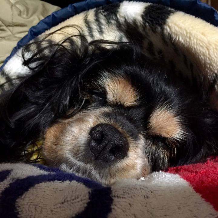 5b1f7aee 4f21 480e 9f8f 84b04be6aaf5