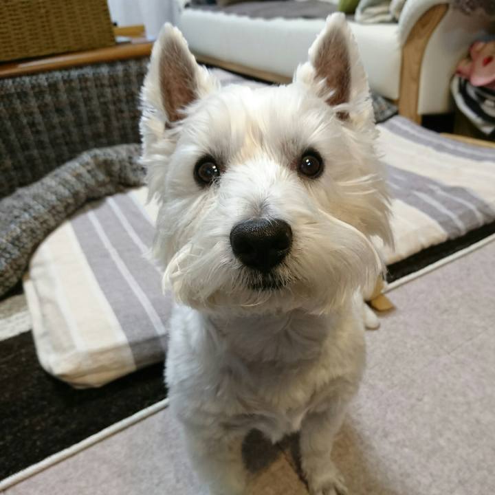 5b1fcce4 1634 4fbd a4ff f5ecb31d359f