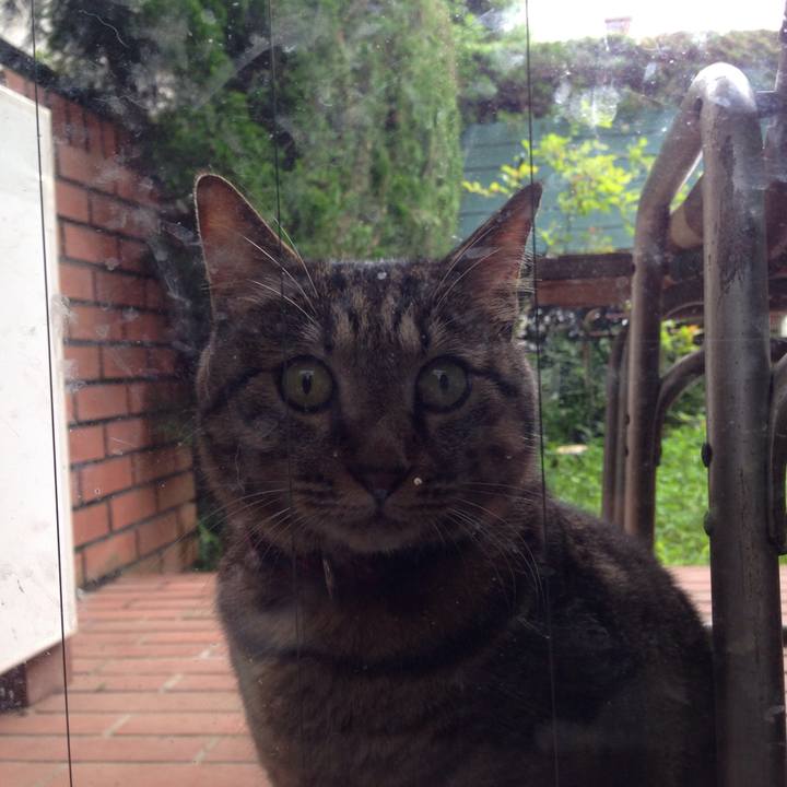 5b1ffe57 0685 4970 856e f86e1370bfaa