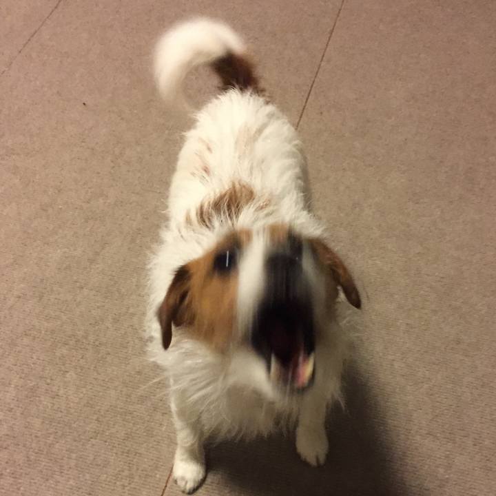 5b205958 9bb9 4819 846e a27ae9885fdb