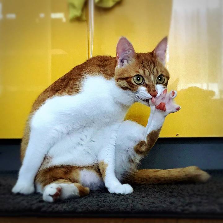 5b208131 0495 44d3 a4e7 30b43d2913c3