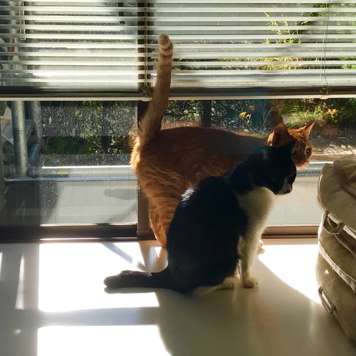 5b214595 3de3 45a6 819f 4e8246f7f633