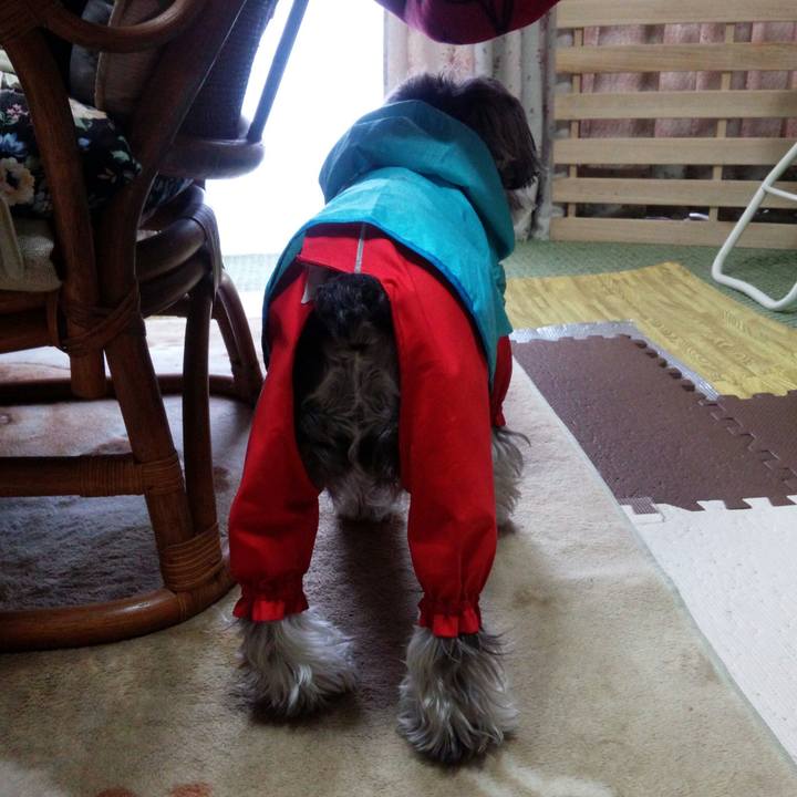 5b21f6bb e8e8 4b39 a453 f9f13165dadf