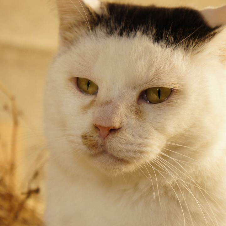 5b2201d9 6533 4fae aaa5 c5d27132efa8