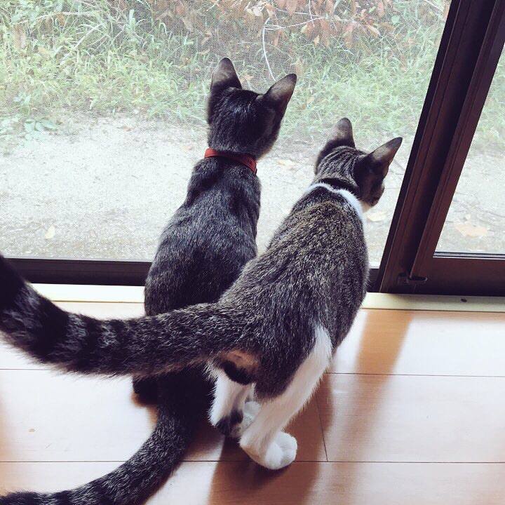 5b22de2d b090 4b4f a1dc 000ca381ed06