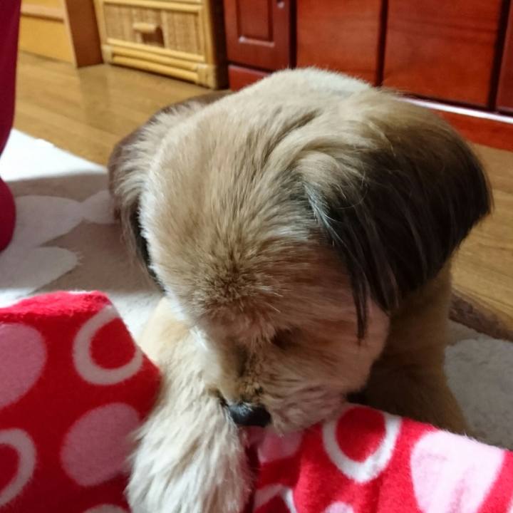 5b23da62 5cbc 40fe 80c1 02b4824a17e3