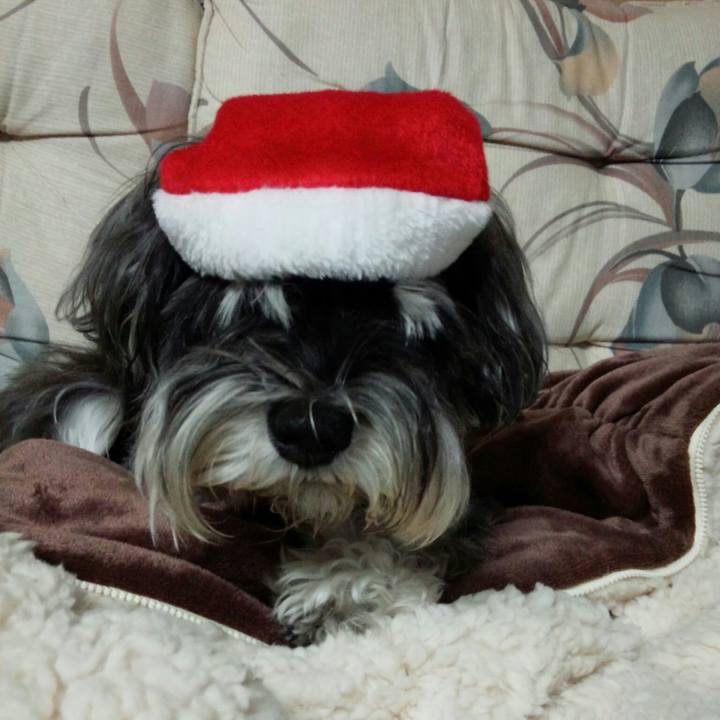 5b24753b 0254 4487 9ec8 18988dc9b835