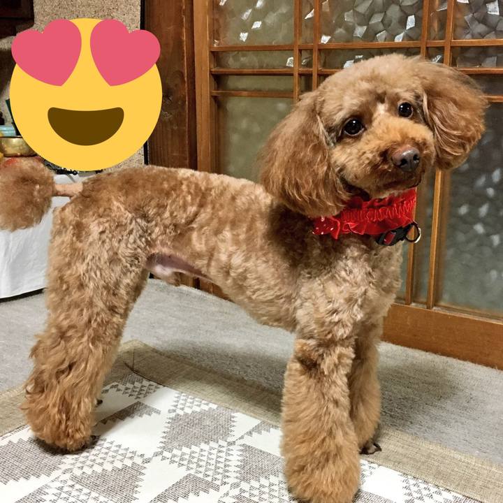 5b247c4e e687 44dc 9f95 db92714055f1