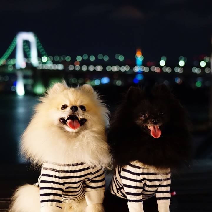 5b25be75 5cba 4123 9763 ed96f498c02c