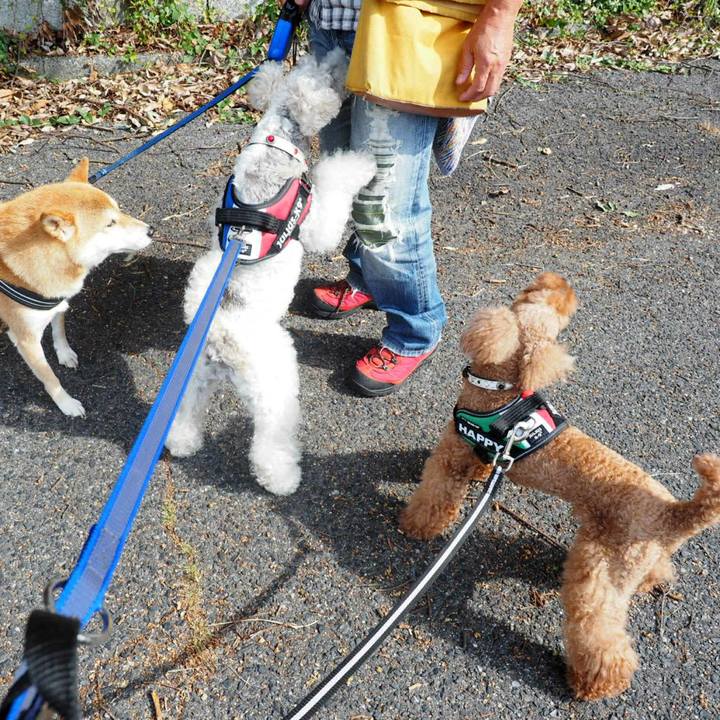 5b2607b7 6421 4f95 a03a 33cc5edac345