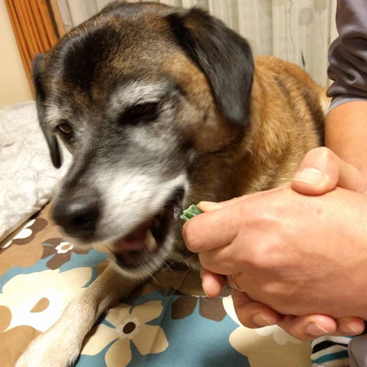 5b264a4a 9084 4725 9c13 a219ee7d9988