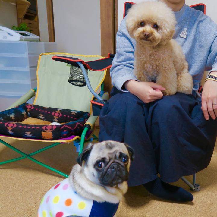 5b26ee36 7f04 4280 b717 1a07c24f4f86