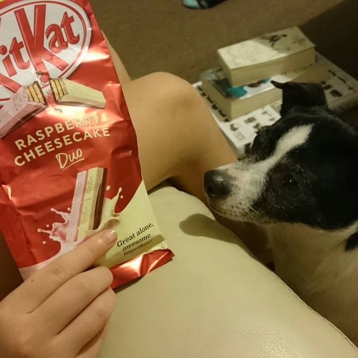 5b27329d b779 45cb aa06 87ccf412382c