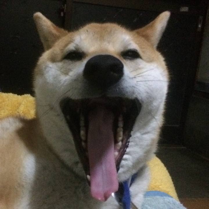 5b274e95 ae3d 4485 985c 6177c5e69c23