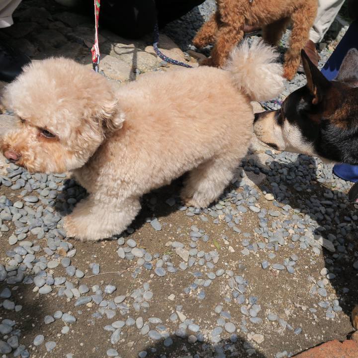 5b2794ee faa4 4804 b48c 7e2e5c43e35f