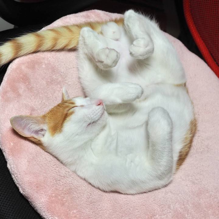 5b27f464 91f4 4172 897d 43801892cdf6