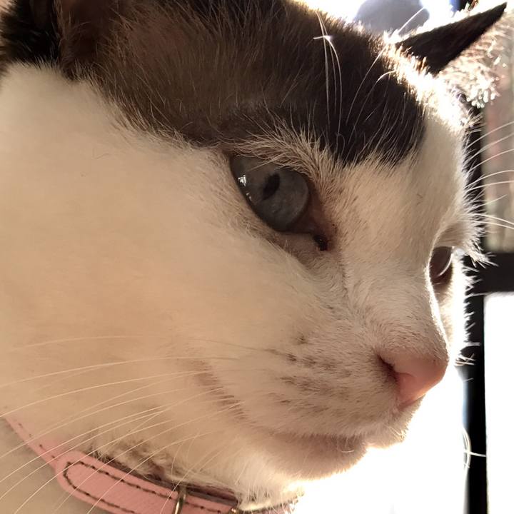 5b288e34 b40e 47df 88a7 67df47f4c252