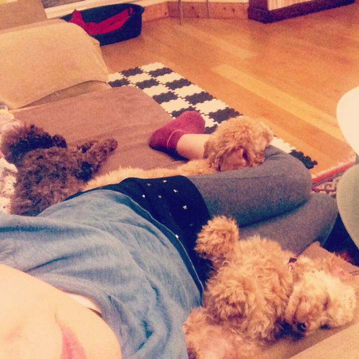 5b28fb89 638b 4f99 8d69 44f8f53e01a1