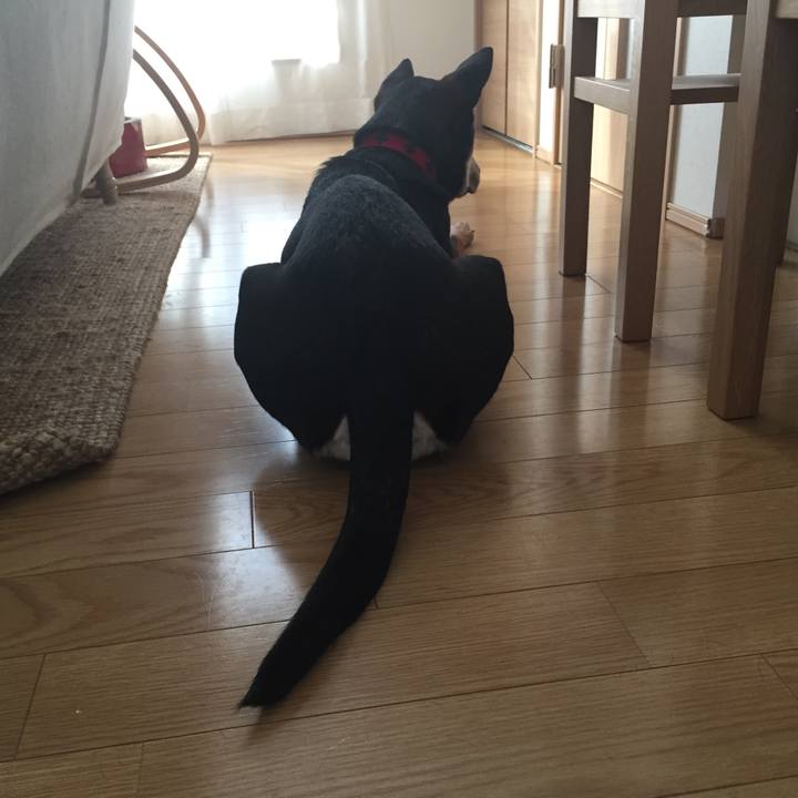 5b2a1f38 26fe 41f6 934a 6f40cb4c6436