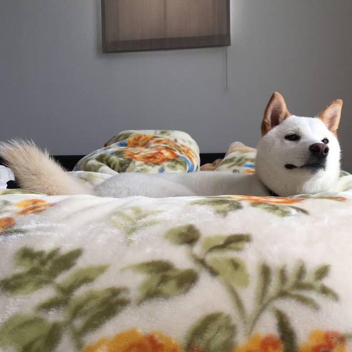 5b2a7546 adc2 489a 9a0d bb435251c18d