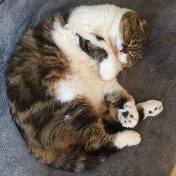 5b2b95b0 d011 4035 a18b 7e7454cac5d6