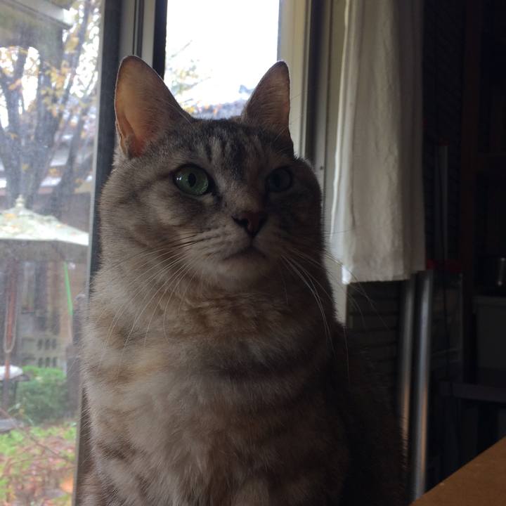 5b2c1f12 20fb 4ff1 87ae a45e6515c1c5