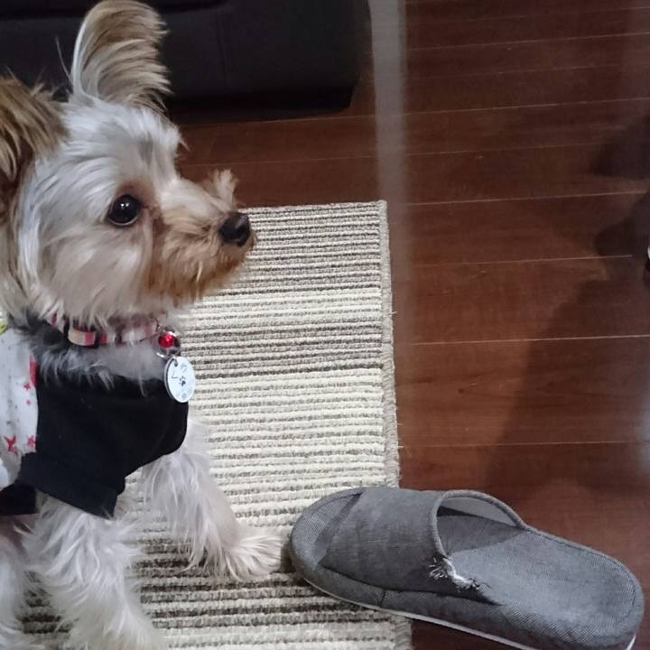 5b2c787c 89f1 402d 92db 34c3cadf7a67