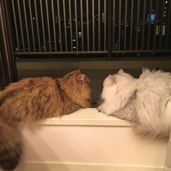 5b2c901b f1b3 43a5 ab48 1533be01acf8