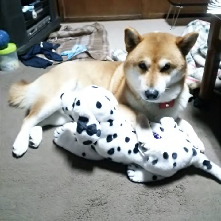 5b2c9808 1a50 40a7 9f9b 2b1acc73615c