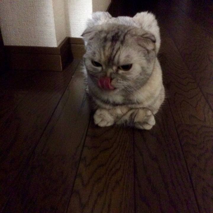 5b2d4bdf a906 4309 aa94 09dc4e7918ec