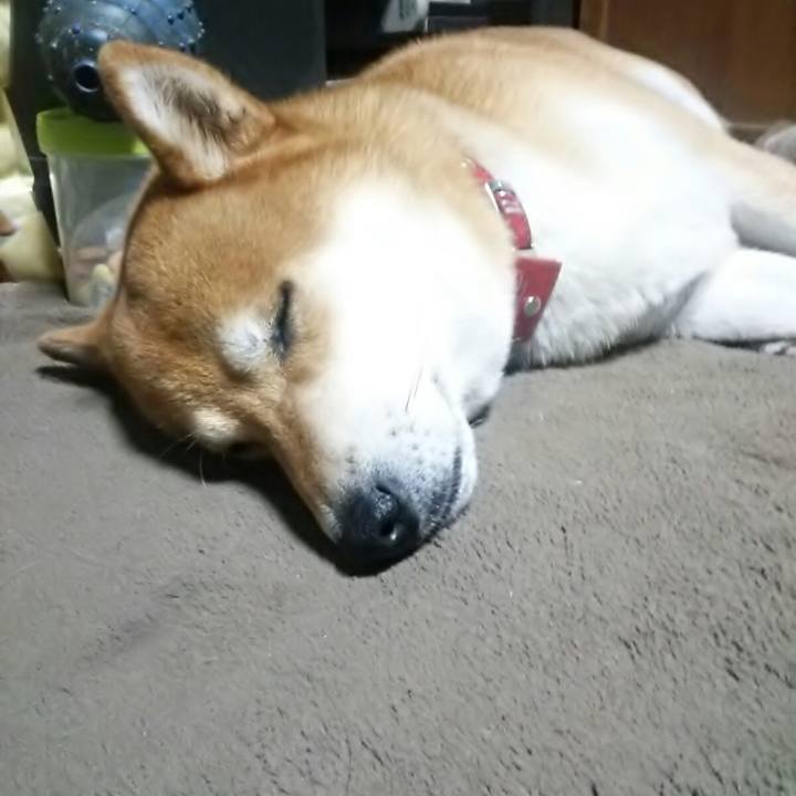 5b2d9eed 88ed 4dac a1aa 2dd5b5ff7119